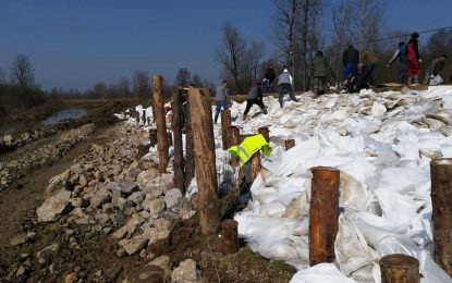 Санација клизишта на старом савском насипу у Млинарицама