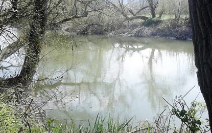 Zagađenje rijeke Spreče: Stručne službe prate stanje na terenu