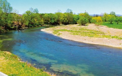 Banja Luka: Pošumljavanje u slivovima Vrbasa i Vrbanje