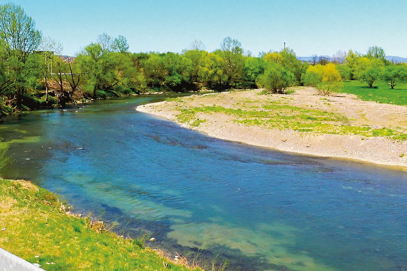 Banja Luka: Pošumljavanje u slivovima Vrbasa i Vrbanje