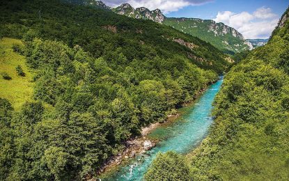 Водно богатство Републике Српске: Тара, ријека која се воли