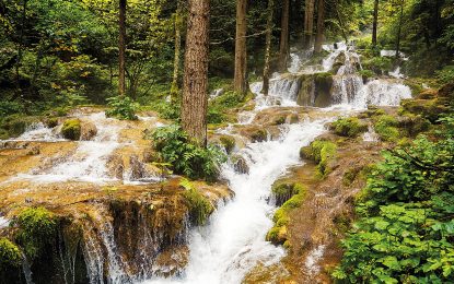 Vodno bogatstvo Republike Srpske: Paljanska Miljacka – izvor kao raj za oči i odmor za dušu