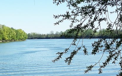 Не очекује се већи раст водостаја ријеке Саве у наредним данима