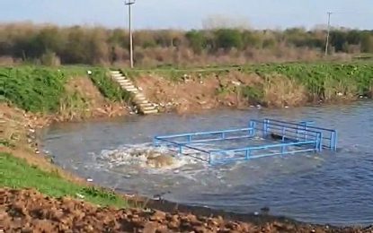 Реаговање: Нема потребе за ширењем панике у Семберији