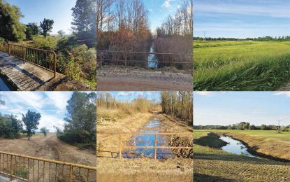 У 2025. години уређење канала и насипа у дужини од 560 километара